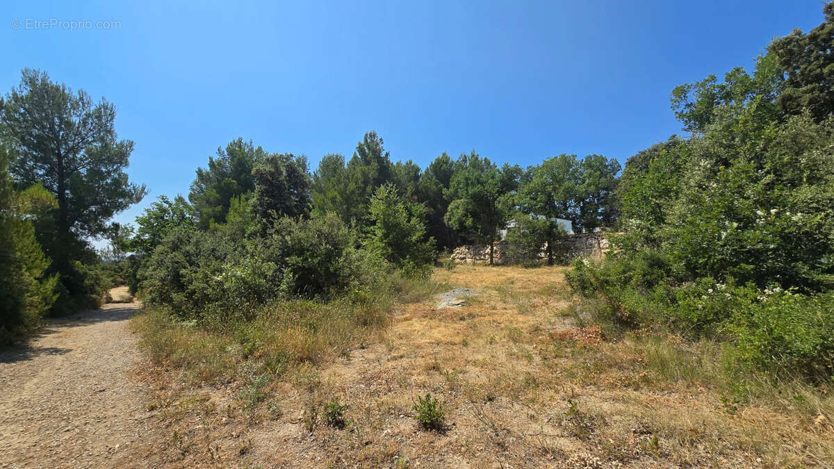 Terrain à vendre de 1160 m² à Vernegues - Exposition Sud avec vue dégagée - photo 2