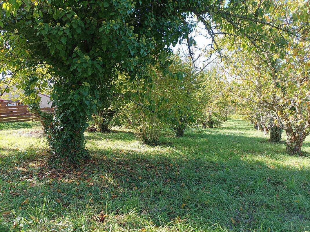 LUZECH .Terrain constructible à vendre - photo 6