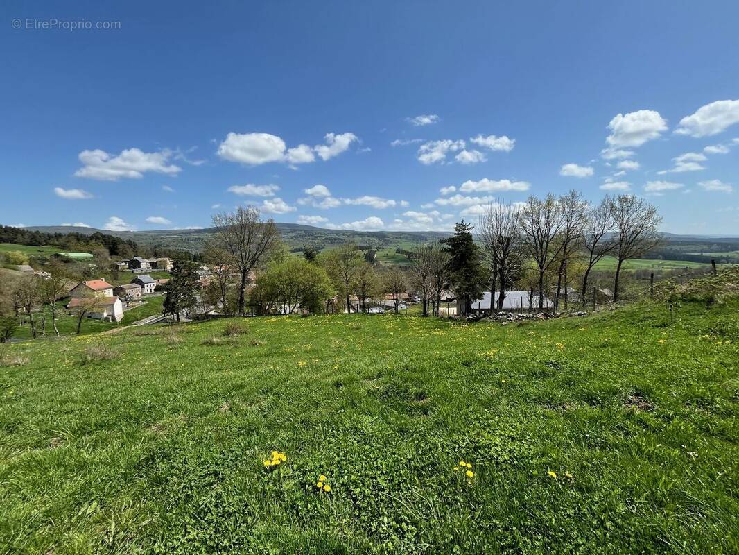 Terrain à SAINT-LEGER-DU-MALZIEU