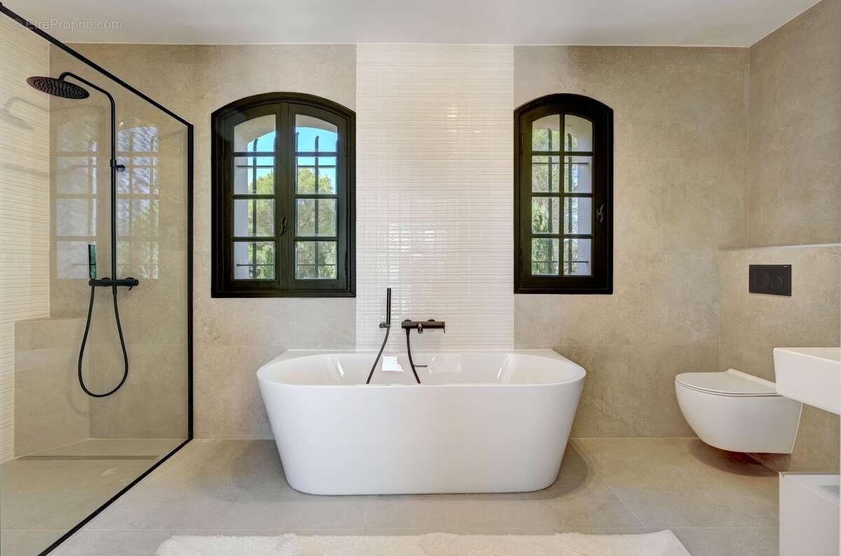 Photo 9 - Maison à MOUANS-SARTOUX