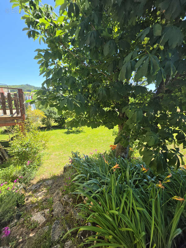 Maison à SAINT-BARTHELEMY-GROZON