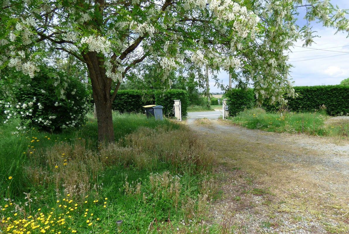 Maison à LE PLESSIS-MACE