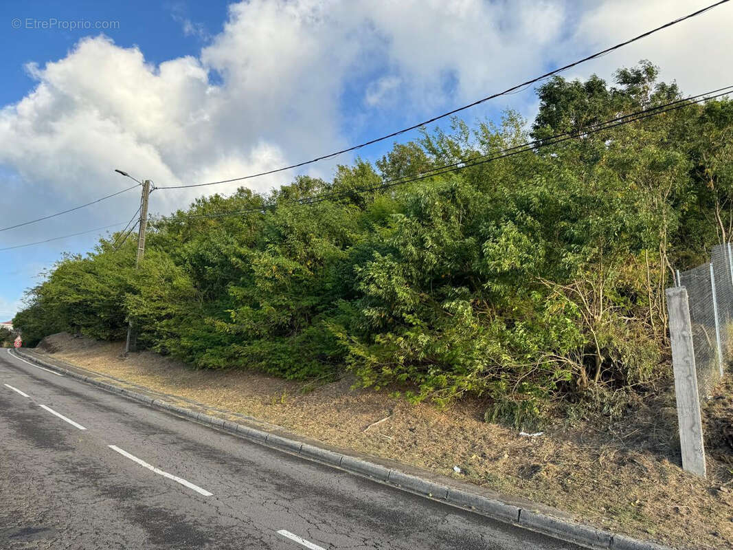 Terrain à VIEUX-FORT