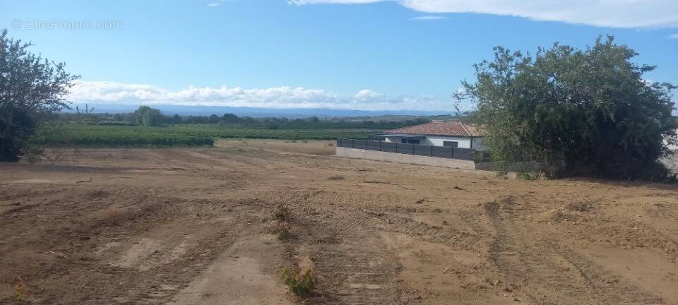Terrain à SALLES-D'AUDE