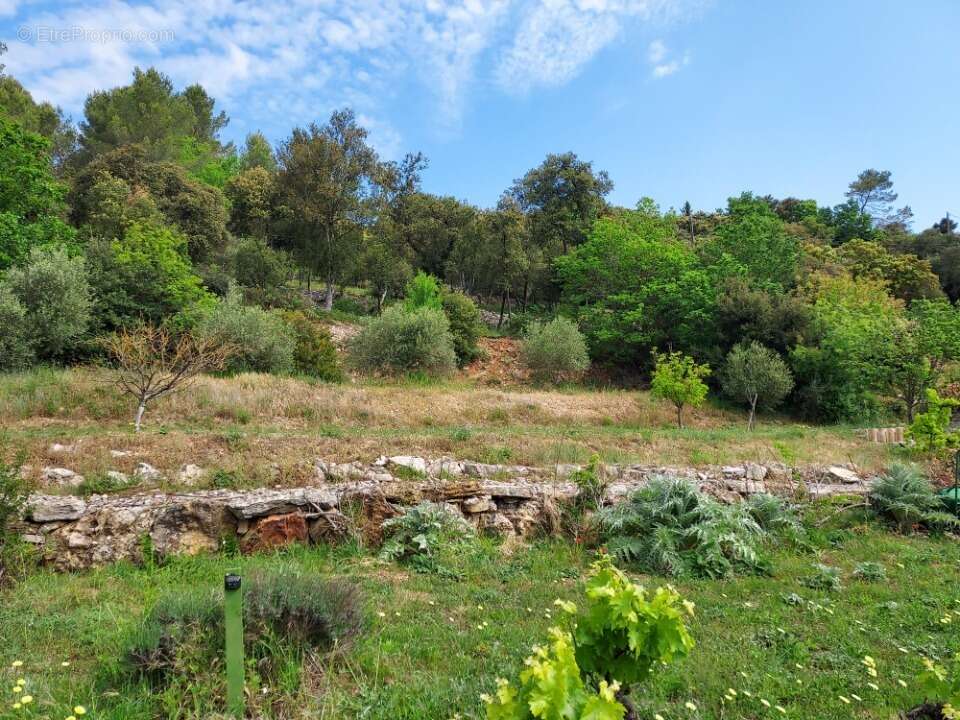 Terrain 1280 m² à Flassans-Sur-Issole  - photo 4