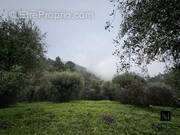 Terrain à BERRE-LES-ALPES