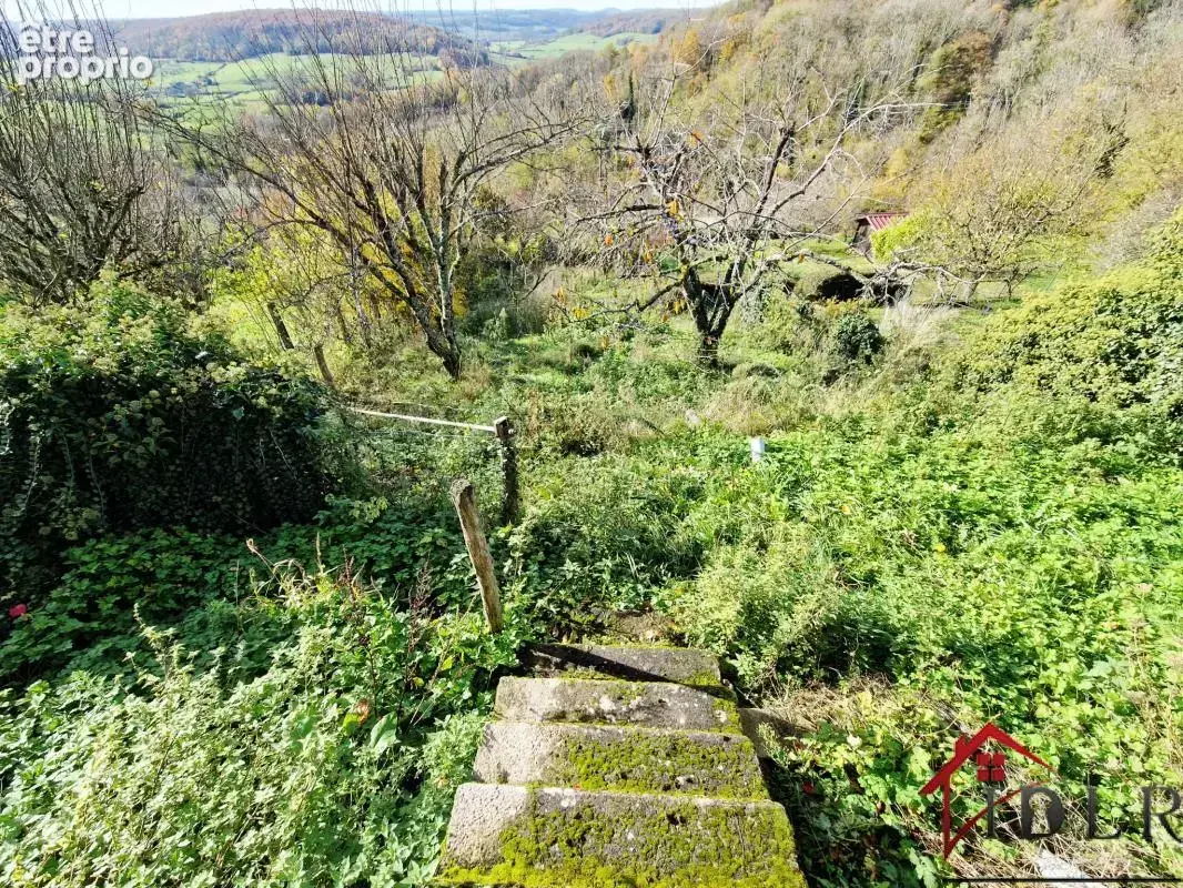 RARE   Maison de Village avec Vue et Potentiel à Coiffy-le- - photo 13