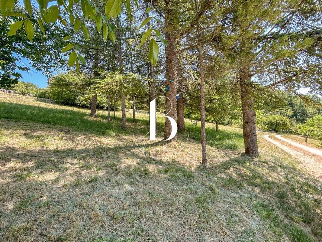 Maison 232 m² à Esson  - photo 33