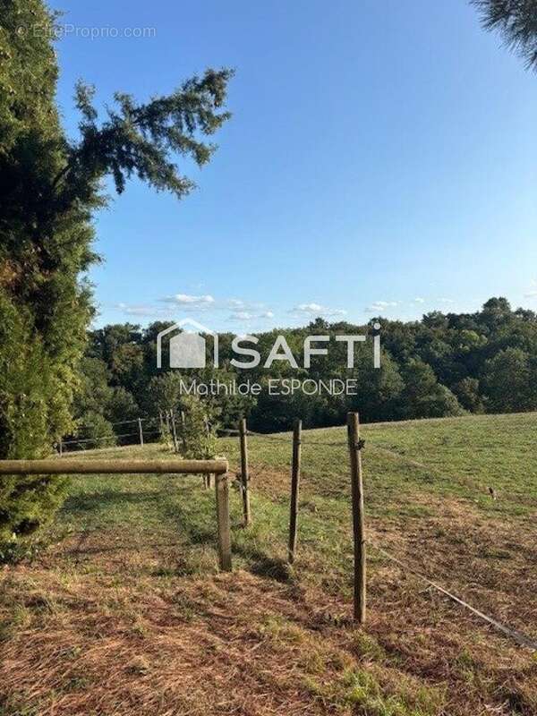 Photo 2 - Maison à CONDOM