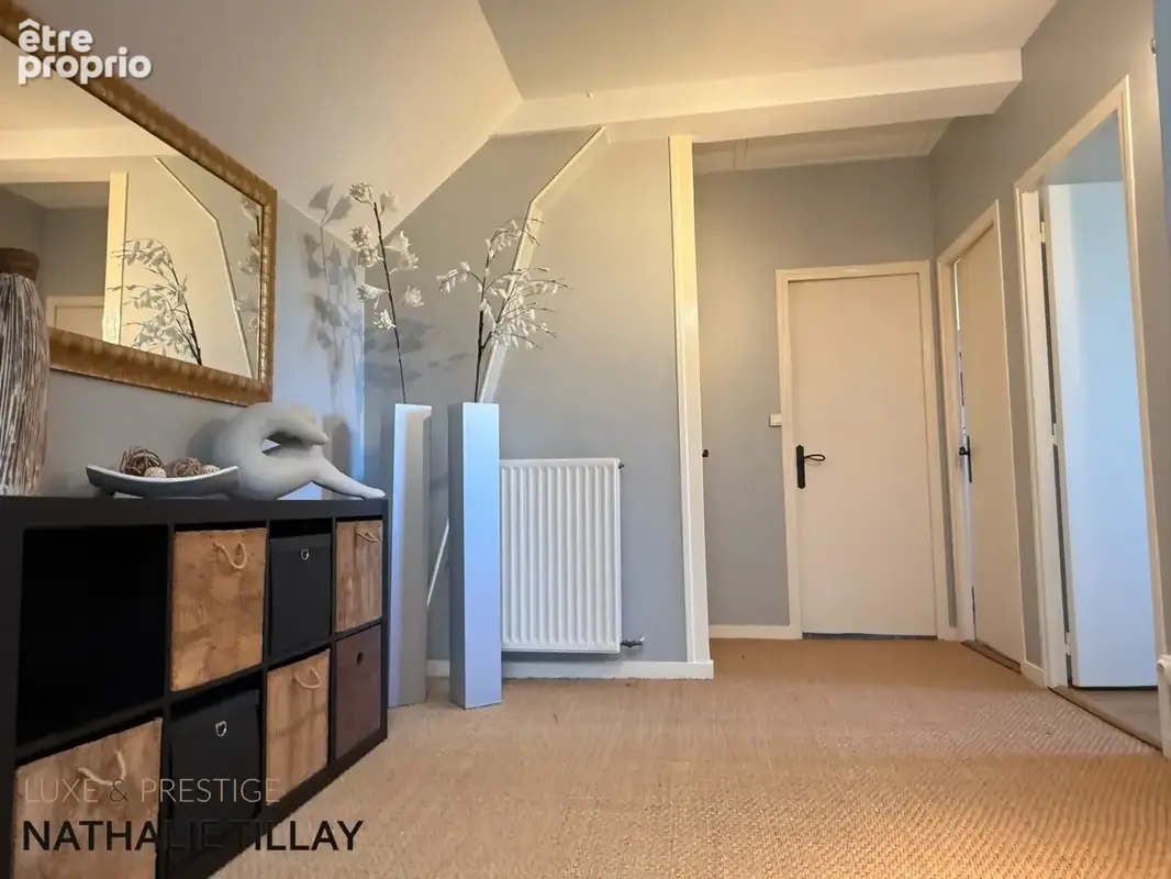Orleans St Marceau, maison a vendre, jardin et piscine, climatisation, rénovée, parfait etat , coup de coeur - photo 17