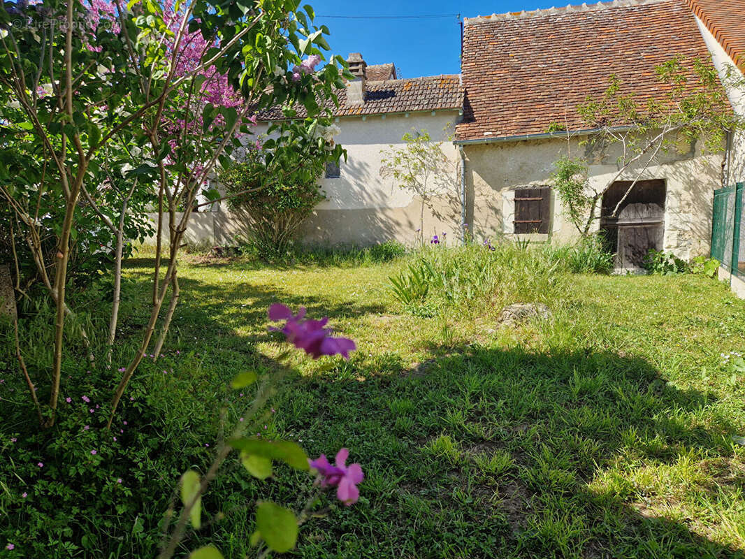 Maison à SELLES-SUR-CHER