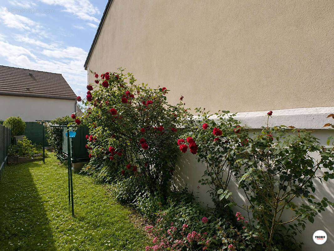 Maison à ECQUEVILLY
