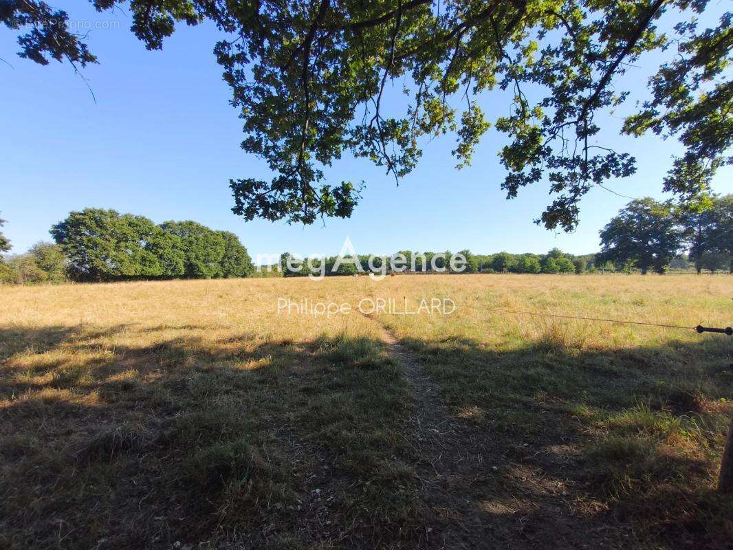 Propriété de 112 m² avec 25000 m² de terrain - photo 13