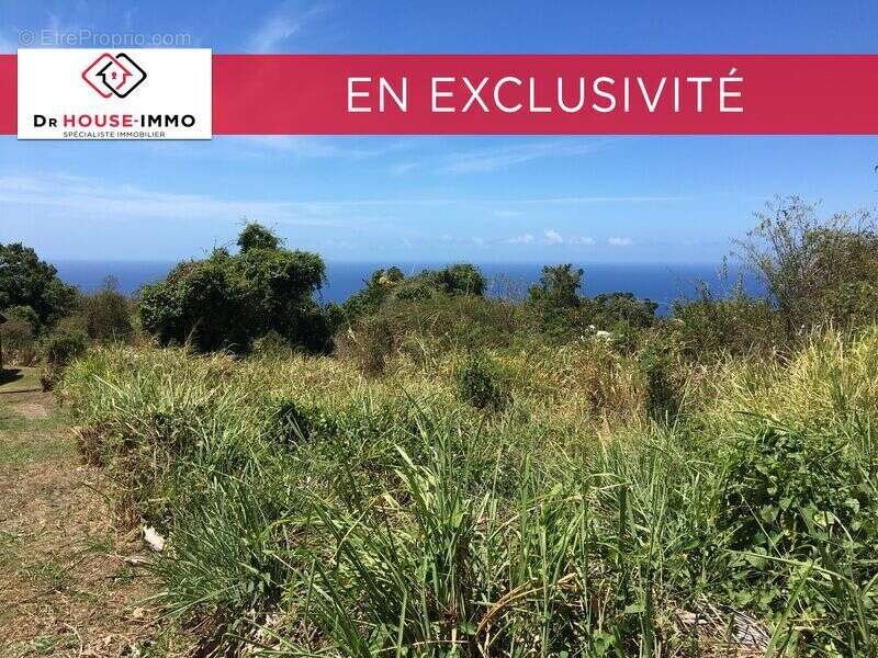 Terrain à VIEUX-HABITANTS