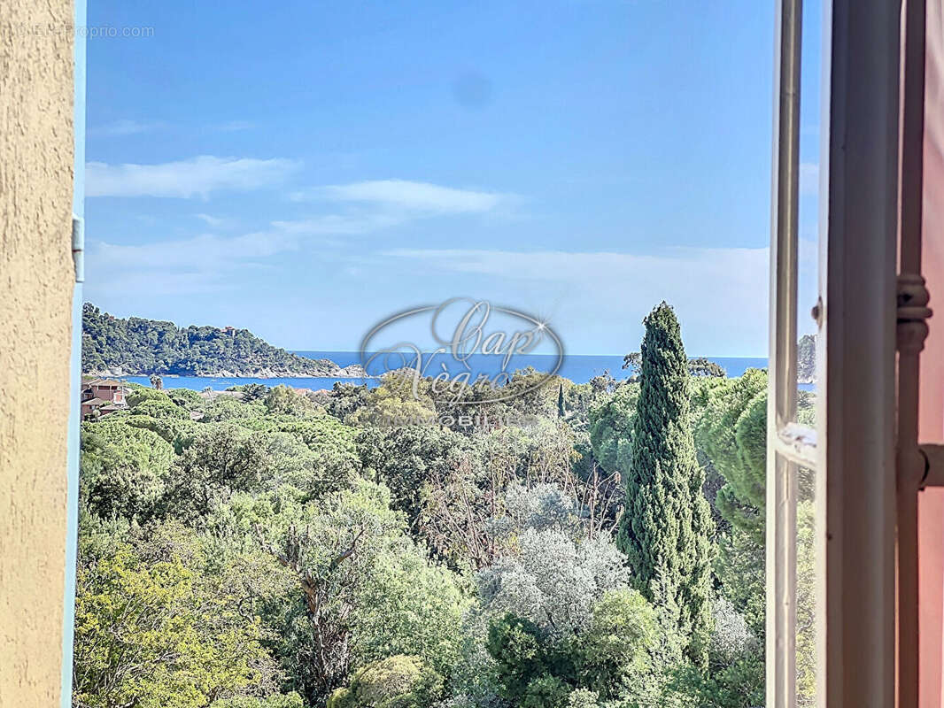 Maison à LE LAVANDOU