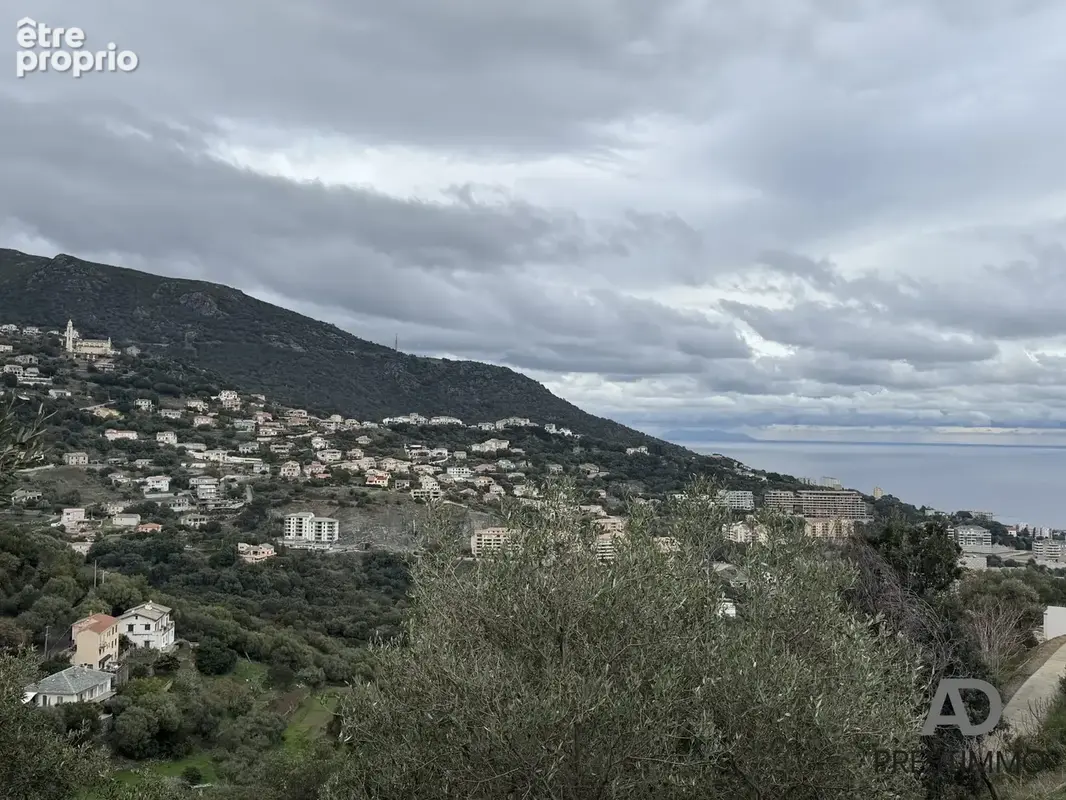 Maison 163 m² à San-Martino-Di-Lota  - photo 2
