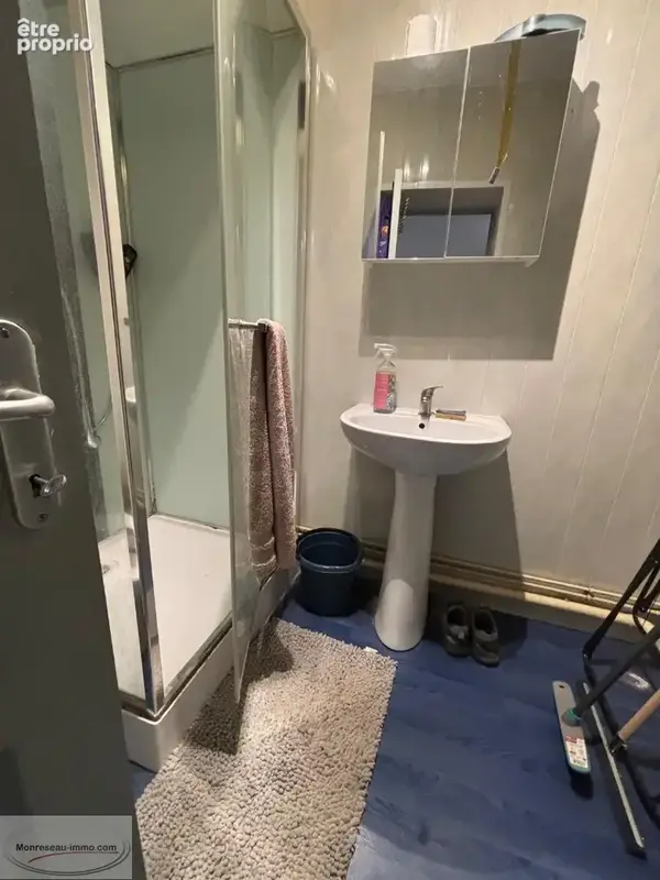 Maison 300 m² à vendre à Le Cateau-Cambresis (59360) - photo 3
