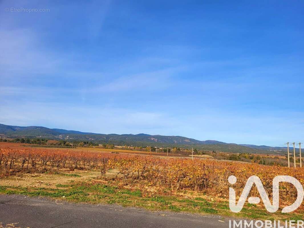 Photo 4 - Maison à PEYRIAC-MINERVOIS