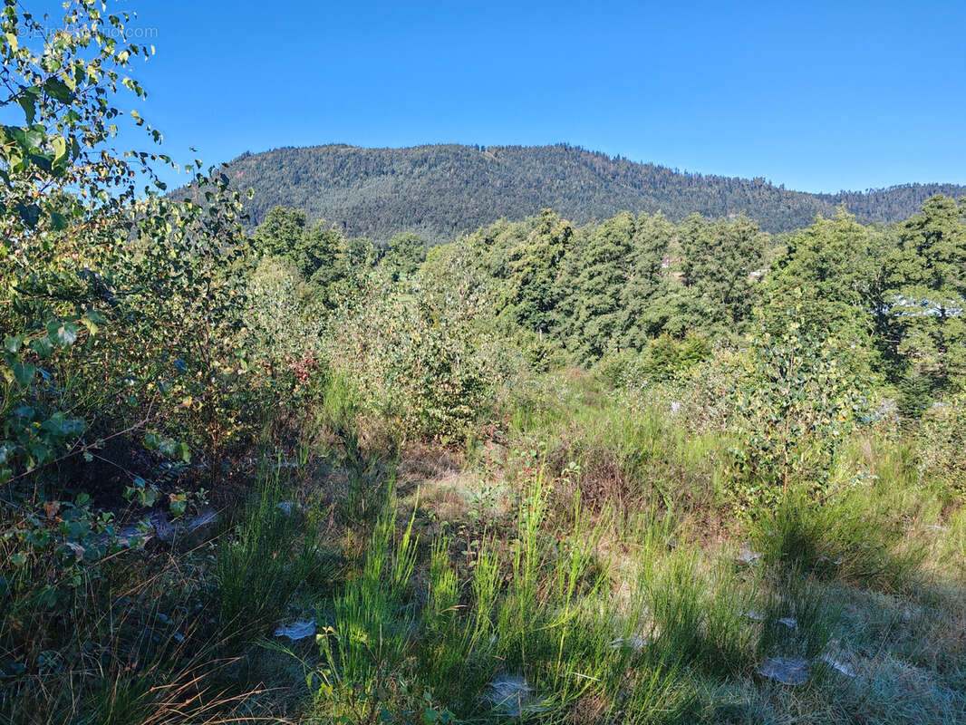 Terrain à SAULCY-SUR-MEURTHE