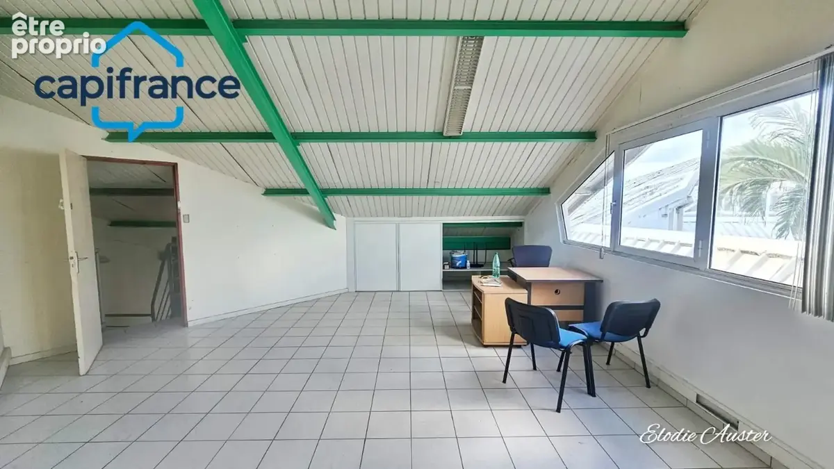 Local professionnel en duplex à Jarry secteur Houelbourg - photo 3