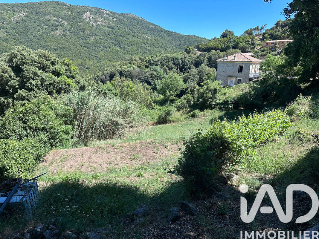 Terrain 1016 m² à Pietrosella  - photo 2