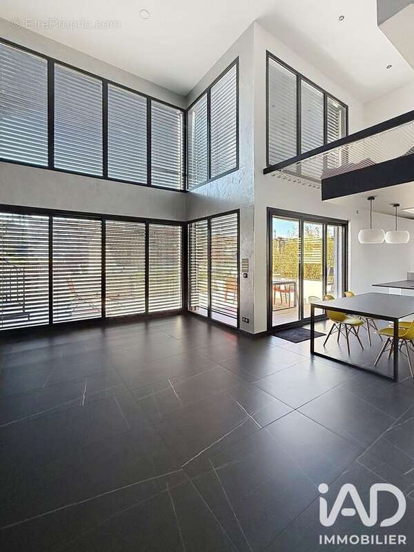 Commerce 151 m² à Lancrans  - photo 7
