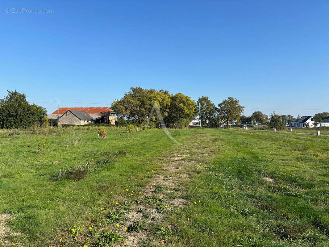 Terrain à LIGNE