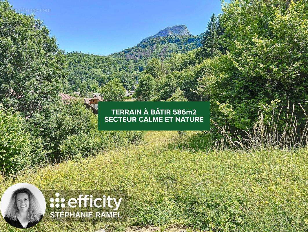 Terrain à MIEUSSY