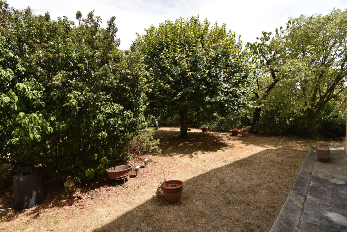 AUTERIVE (31190) Maison de ville 7 pièces 280 m2 - photo 14