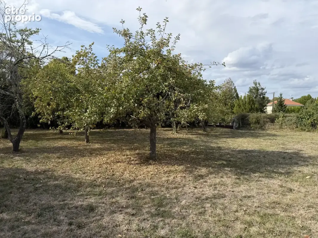 jardin et arbres