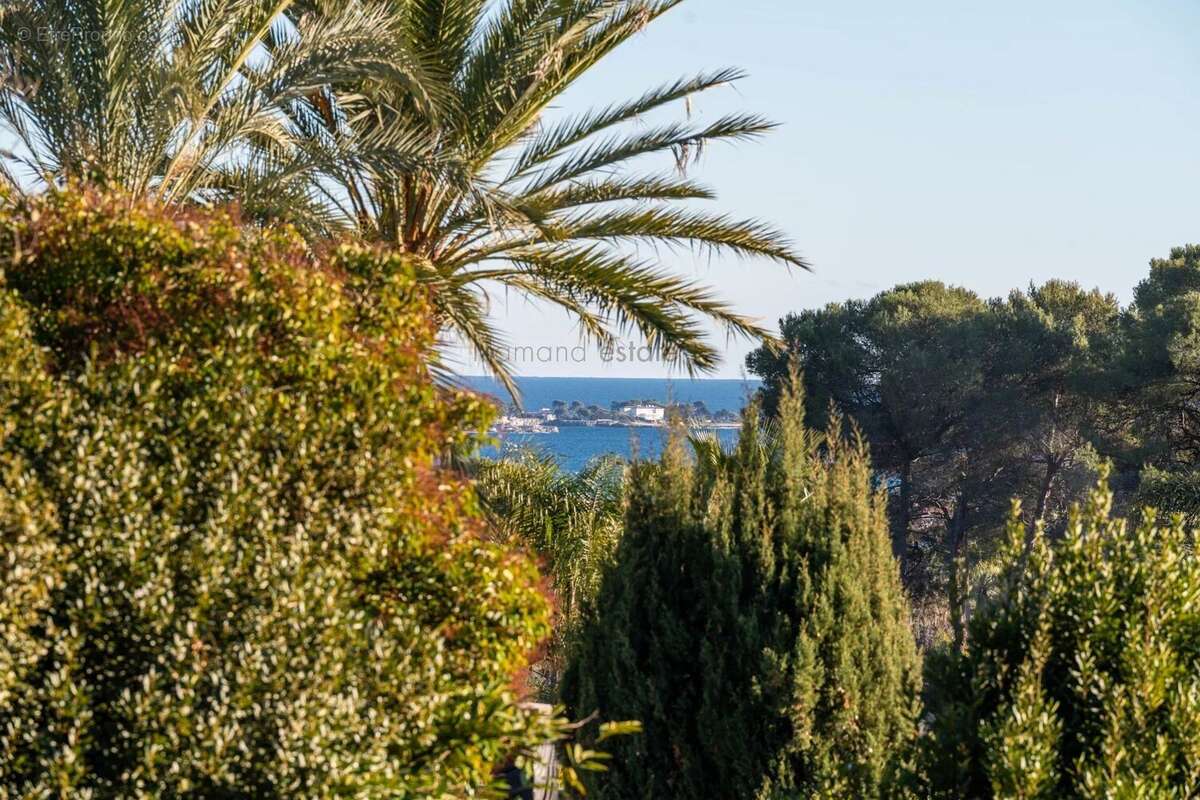 Maison à ANTIBES