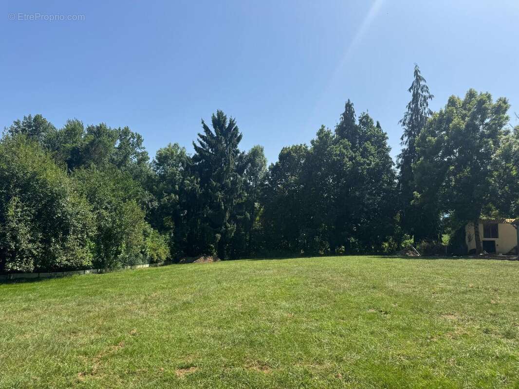 Photo 3 - Maison à OLORON-SAINTE-MARIE