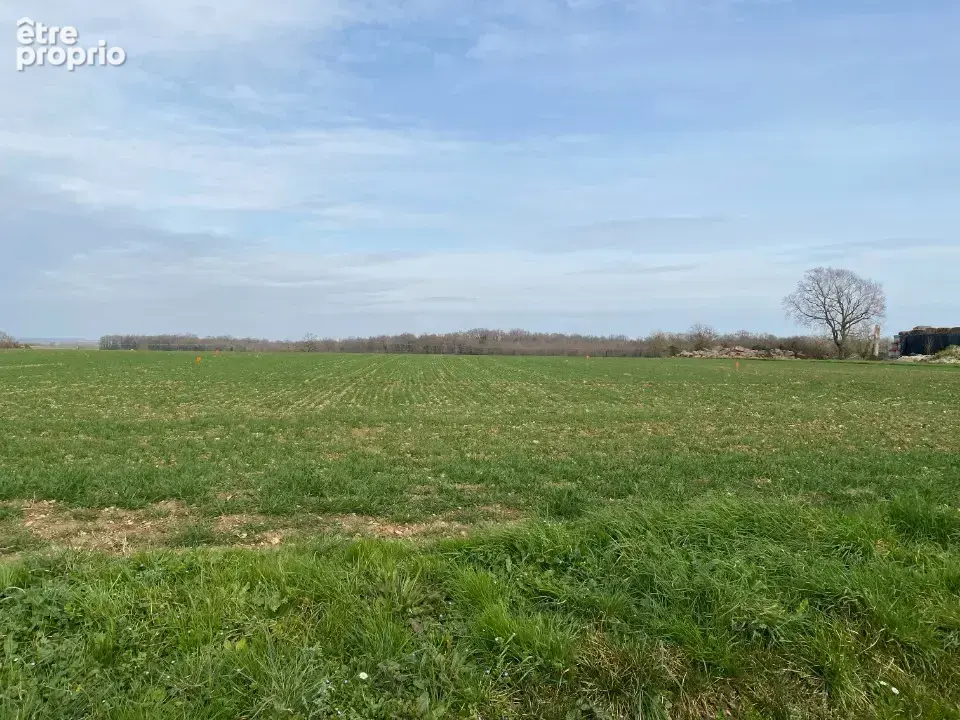 Terrain 753 m² à vendre à Plassay (17250) - photo 3