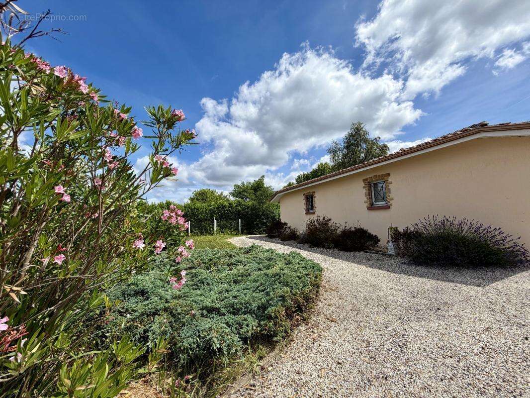 Maison 131 m² à Parentis-En-Born  - photo 11