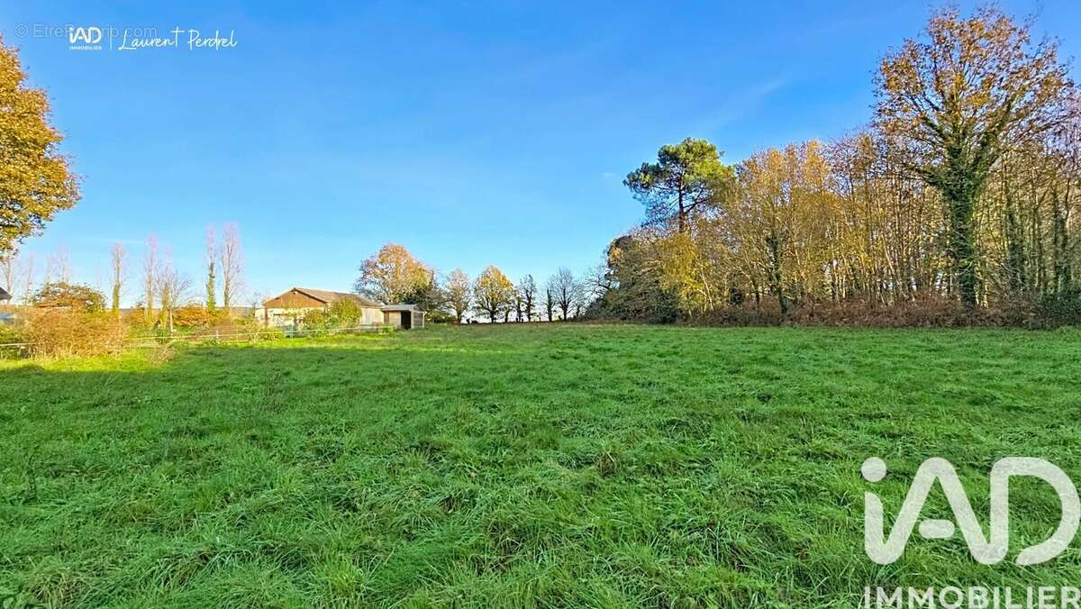 Photo 2 - Terrain à ALLAIRE