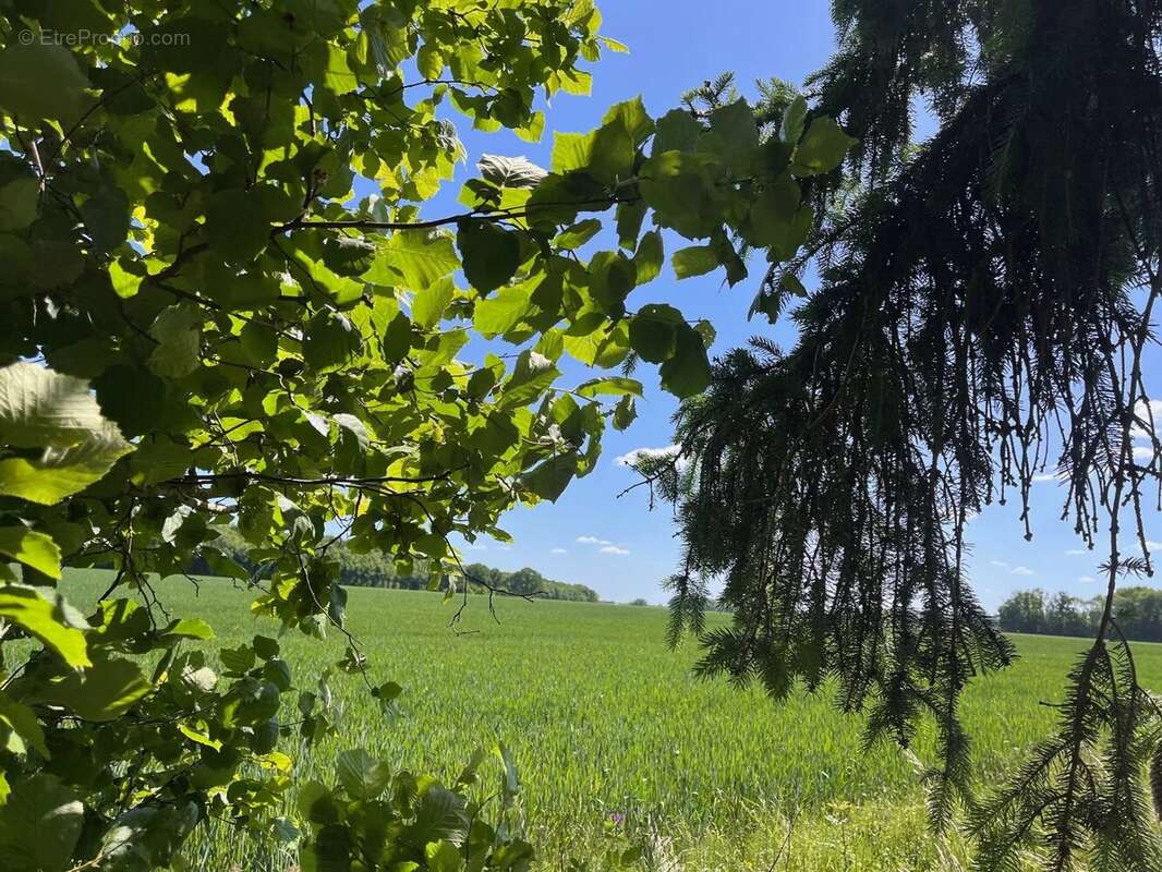 Maison à RAMBOUILLET