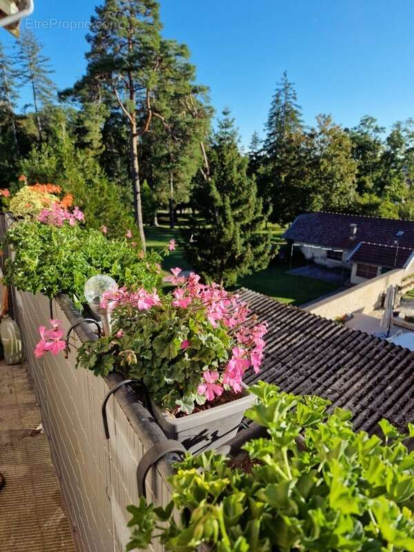 Appartement à CONTREXEVILLE