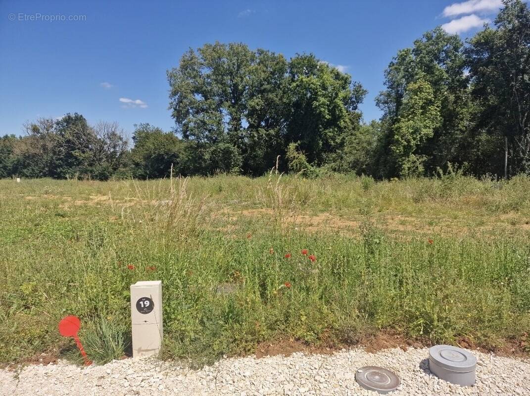 Terrain à PLEUMARTIN