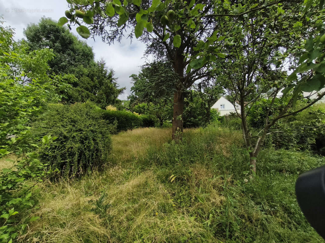 Terrain à MONTLIGNON