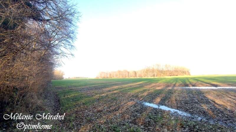 Terrain à SYLVAINS-LES-MOULINS