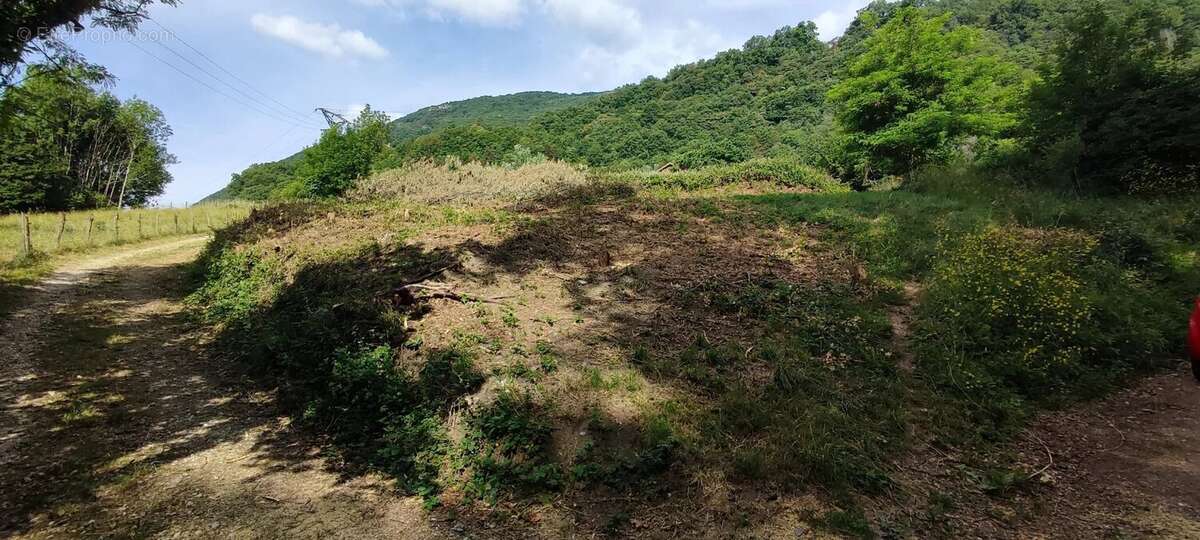 Terrain à LA TRONCHE