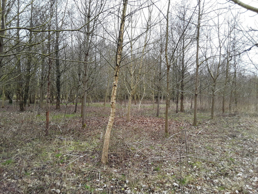 Terrain à ERONDELLE