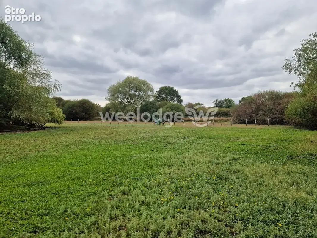 Terrain 81 000 m² à vendre à Velles (36330) - photo 4