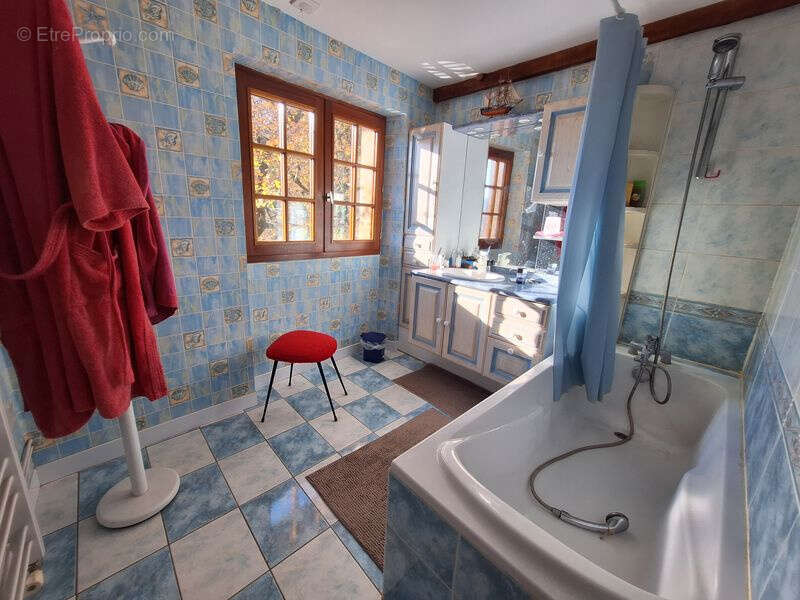 Maison à SAINT-MICHEL-LOUBEJOU