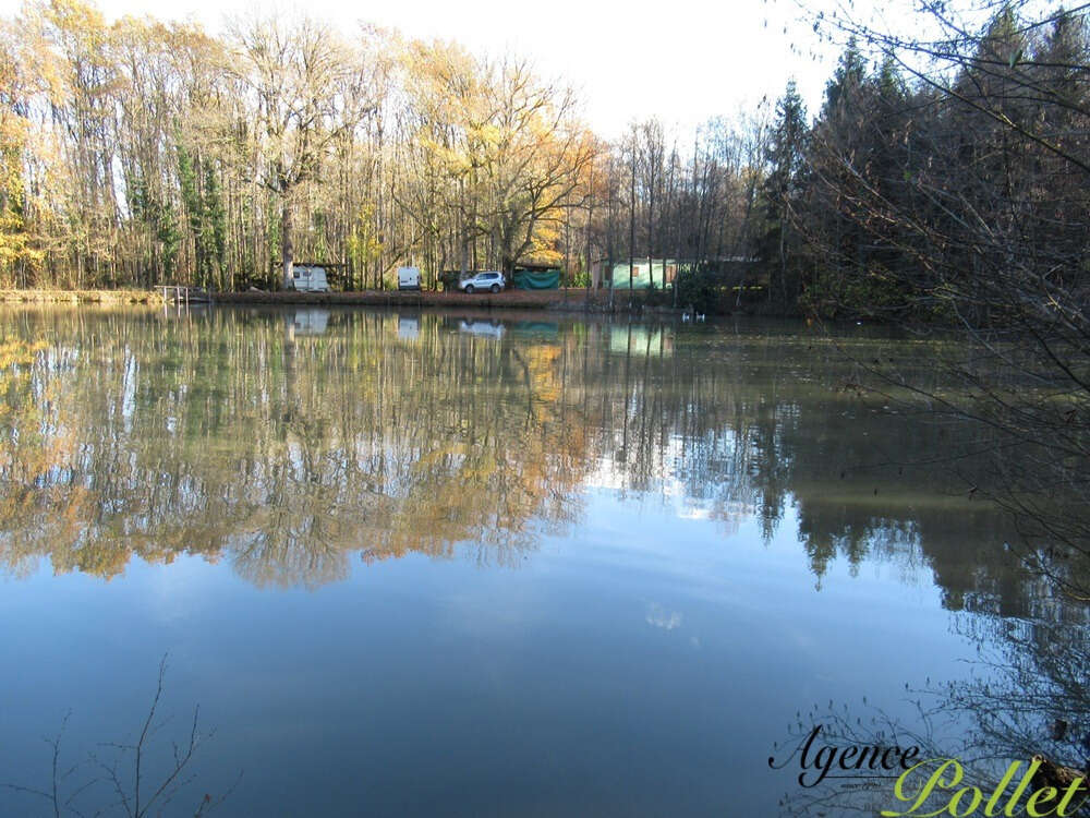 Terrain à VAILLY-SUR-SAULDRE