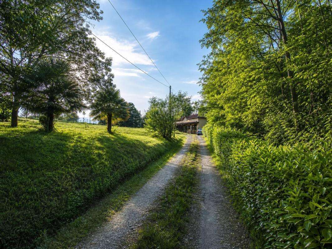 Ancienne Longère de caractère 114 m² sur 1,36 ha - Eauze (Gers) - photo 24