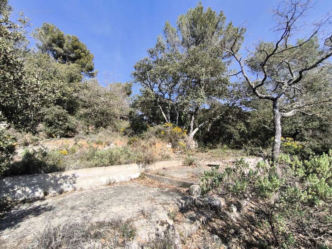 Terrain à VENASQUE