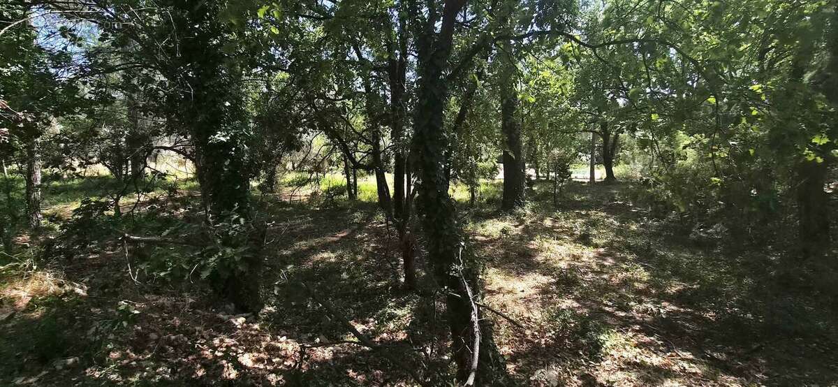 Terrain de 7000m² avec cabanon et 1100m² de - photo 2