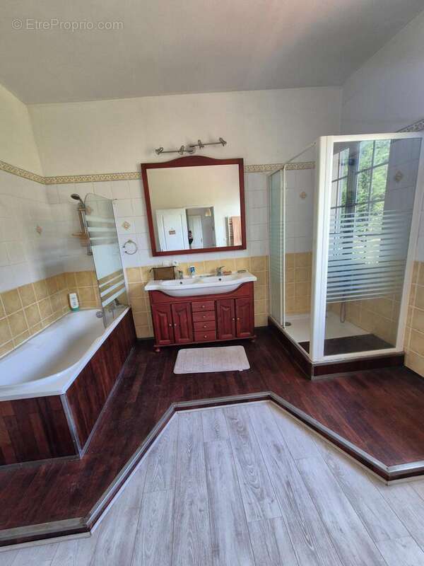 Maison 210 m² à Ambares-Et-Lagrave  - photo 7