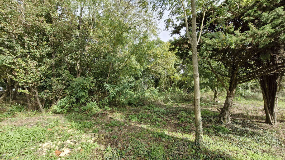 Terrain à CHENAC-SAINT-SEURIN-D&#039;UZET